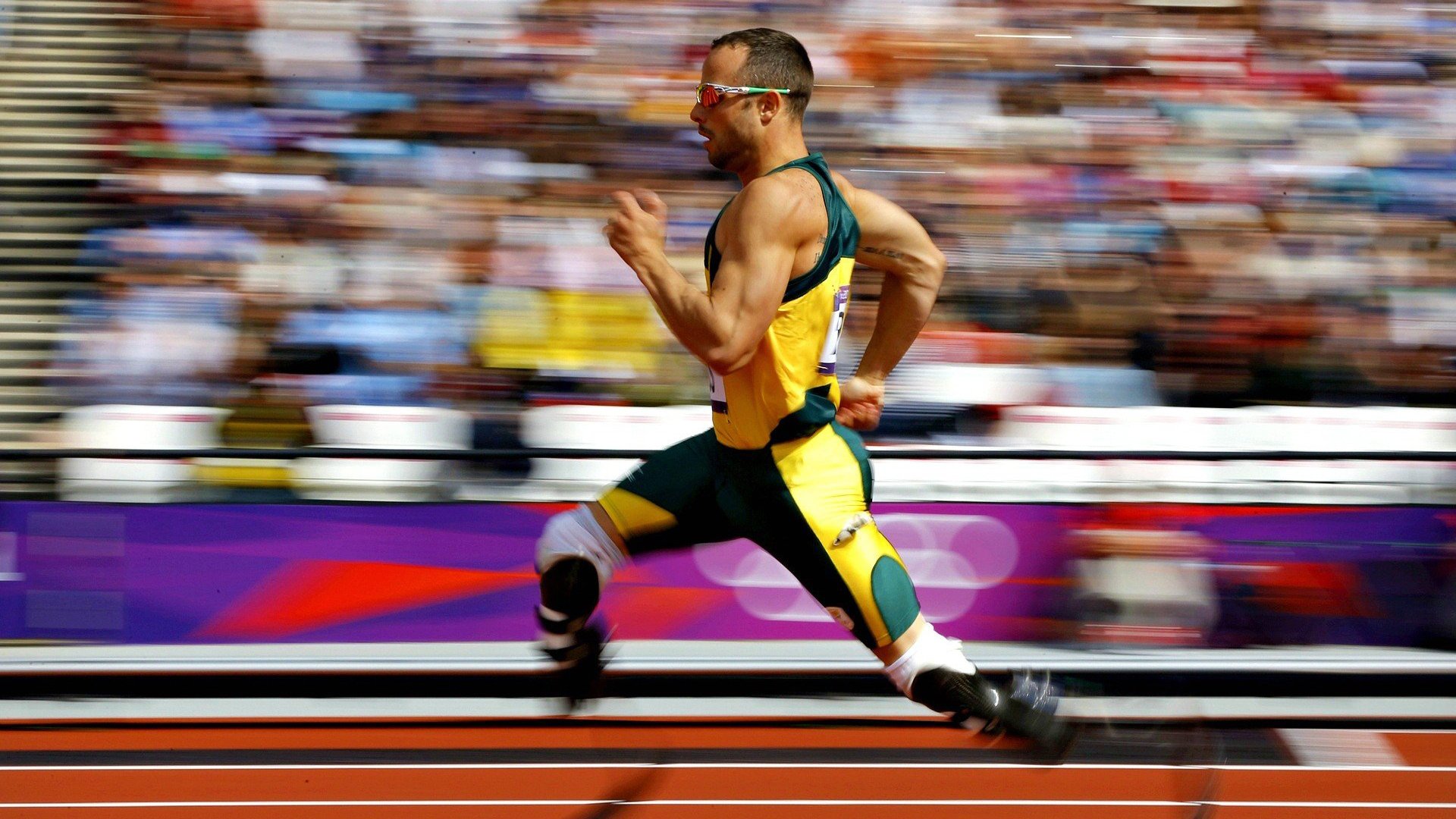 体育新闻中心记者前线报道,体育新闻现场报道